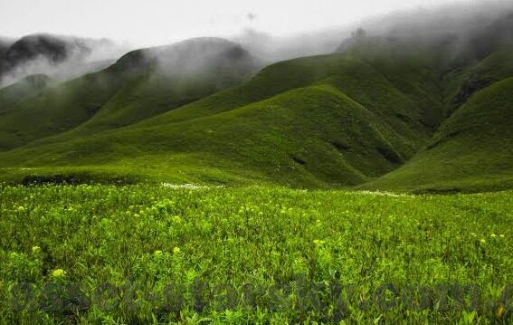 澳门赌场在营业吗-澳门赌场是否营业，现状、挑战与未来展望